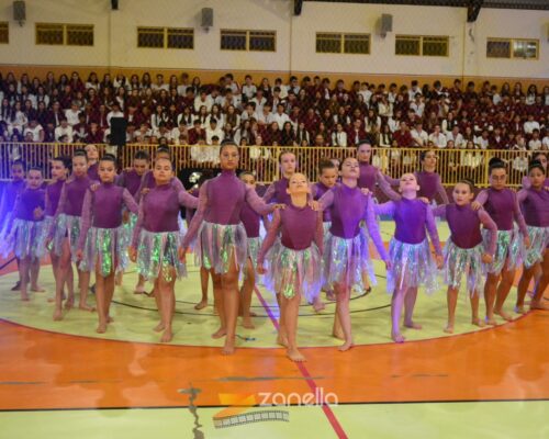 mostra literaria artistico cultural colegio mae da divina providencia (131)