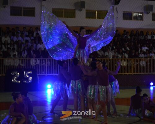mostra literaria artistico cultural colegio mae da divina providencia (143)
