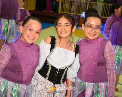mostra literaria artistico cultural colegio mae da divina providencia (216)