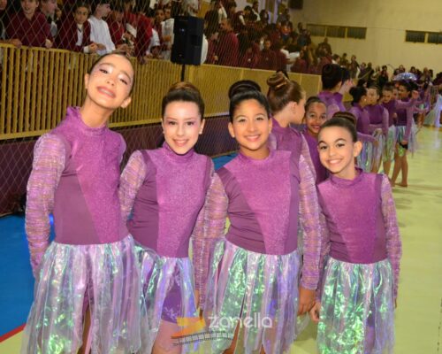 mostra literaria artistico cultural colegio mae da divina providencia (219)
