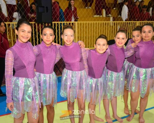 mostra literaria artistico cultural colegio mae da divina providencia (228)