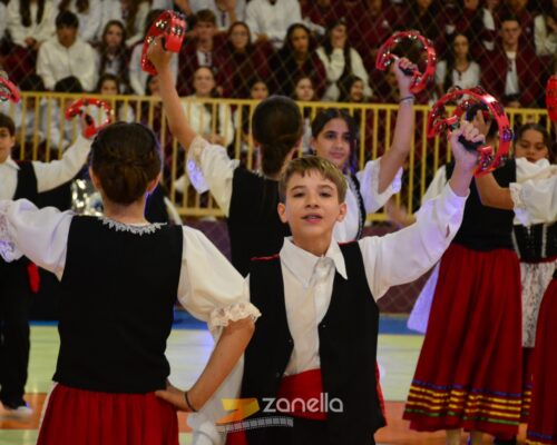 mostra literaria artistico cultural colegio mae da divina providencia (50)