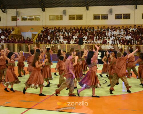 mostra literaria artistico cultural colegio mae da divina providencia (75)