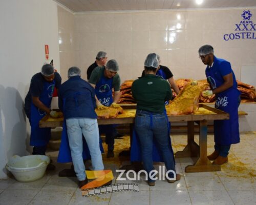 01 Zanella costelao (12)