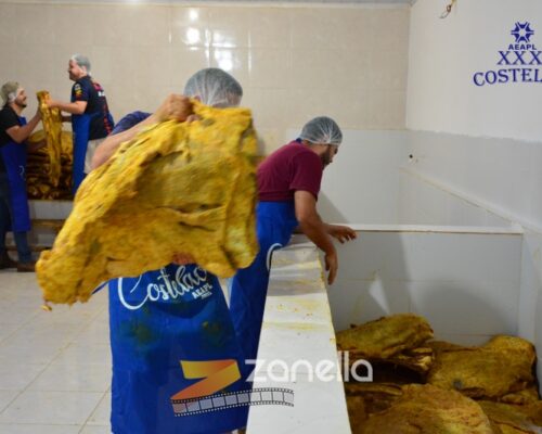 01 Zanella costelao (42)