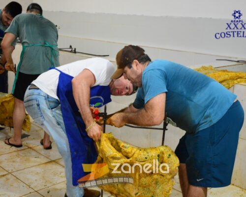 01 Zanella costelao (55)