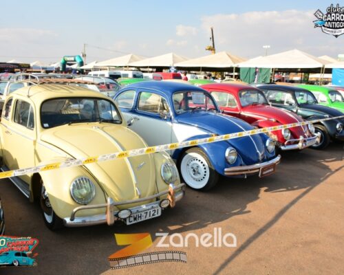 10 encontro de carros antigos de primavera do leste (213)