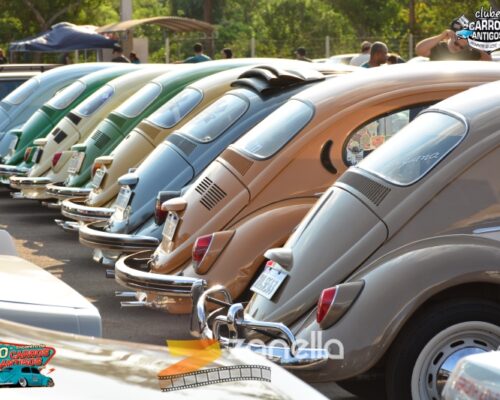 10 encontro de carros antigos de primavera do leste (221)