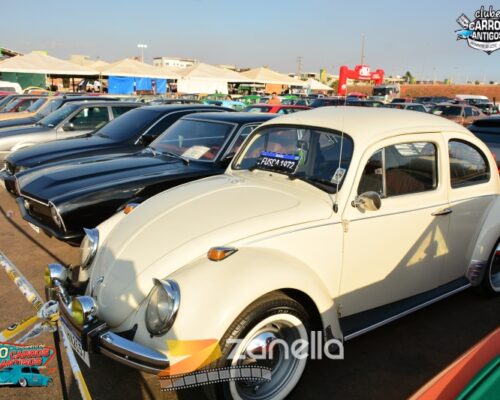 10 encontro de carros antigos de primavera do leste (254)