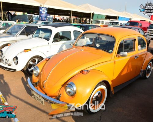 10 encontro de carros antigos de primavera do leste (273)