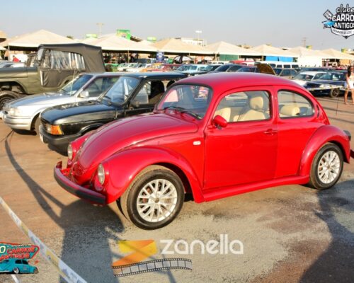 10 encontro de carros antigos de primavera do leste (284)