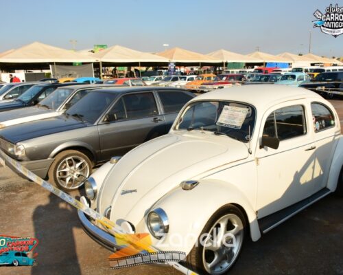 10 encontro de carros antigos de primavera do leste (286)
