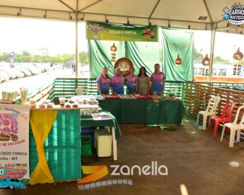 10 encontro de carros antigos de primavera do leste (325)
