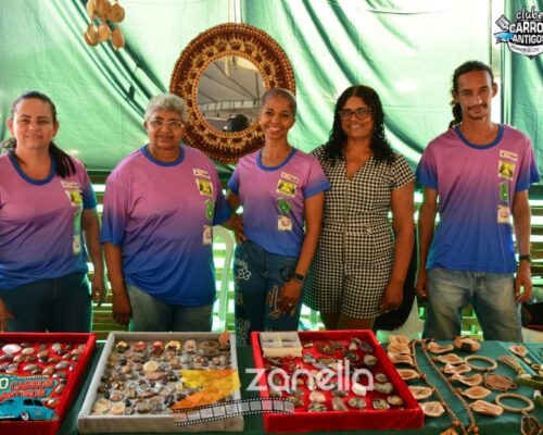 10 encontro de carros antigos de primavera do leste (327)