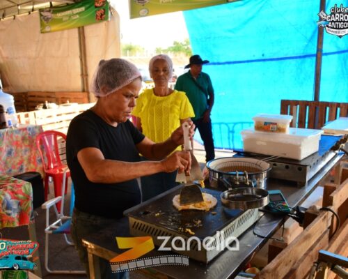 10 encontro de carros antigos de primavera do leste (333)