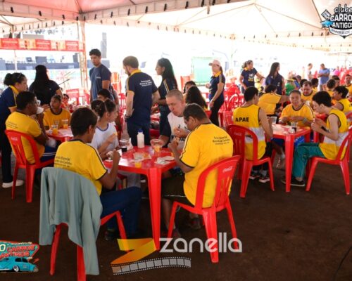 10 encontro de carros antigos de primavera do leste (874)