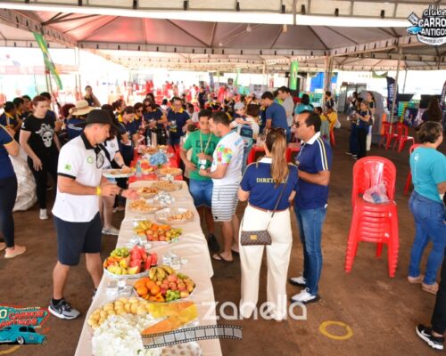 10 encontro de carros antigos de primavera do leste (875)