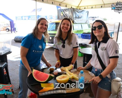10 encontro de carros antigos de primavera do leste (880)