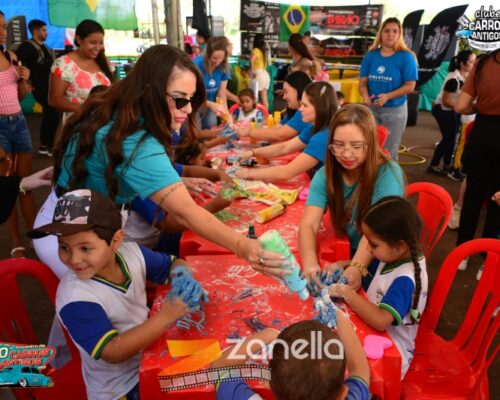 10 encontro de carros antigos de primavera do leste (882)