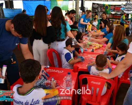 10 encontro de carros antigos de primavera do leste (883)
