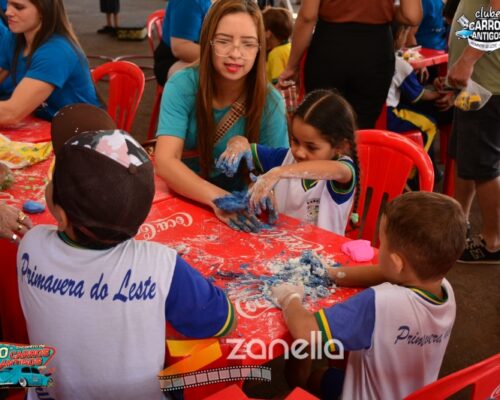 10 encontro de carros antigos de primavera do leste (884)