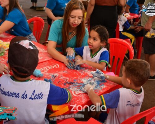 10 encontro de carros antigos de primavera do leste (885)