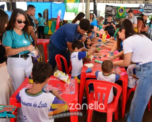 10 encontro de carros antigos de primavera do leste (893)