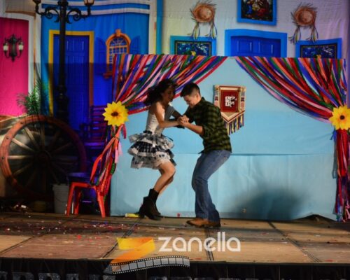 2 ZAN_8701 (1032)