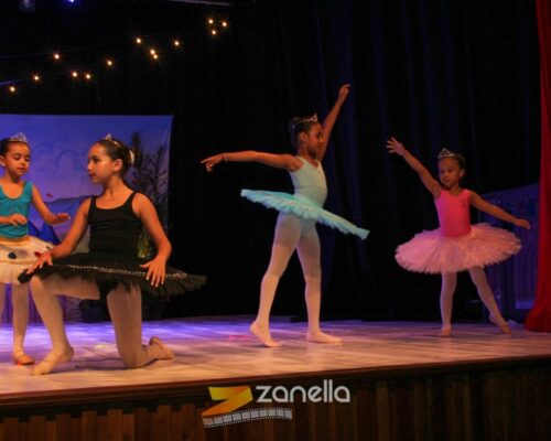 IMG_2498