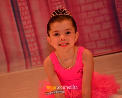 ZAN_8738