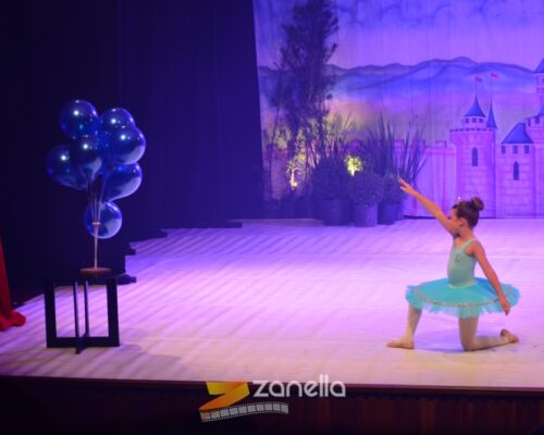 ZAN_8886