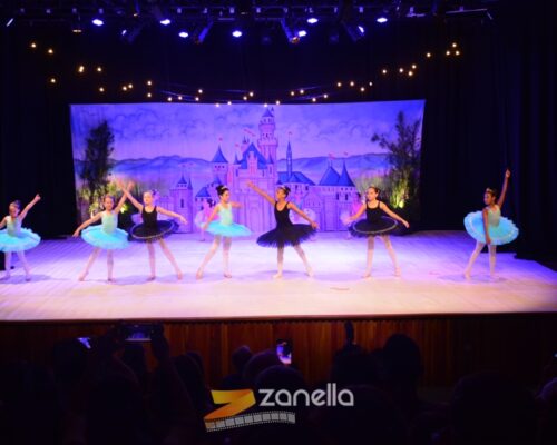 ZAN_9091