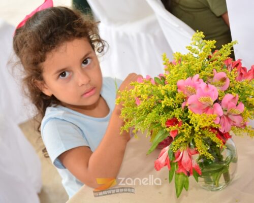 ZAN_1395