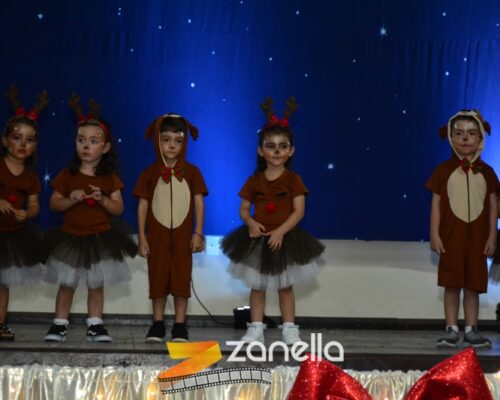 ZAN_9437