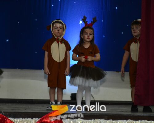 ZAN_9440