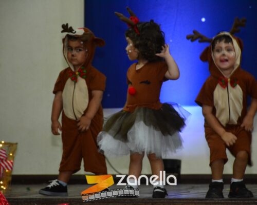 ZAN_9465