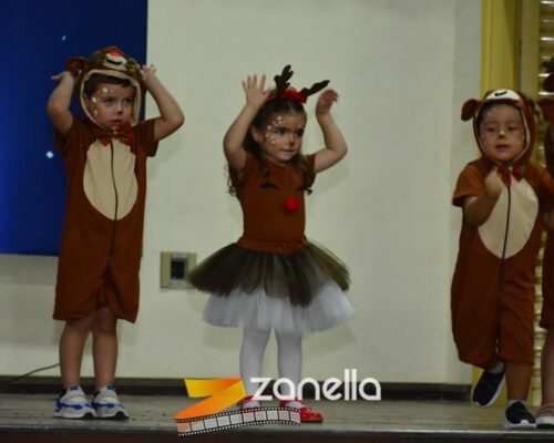 ZAN_9470