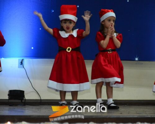 ZAN_9495