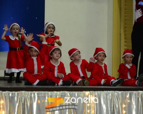ZAN_9506