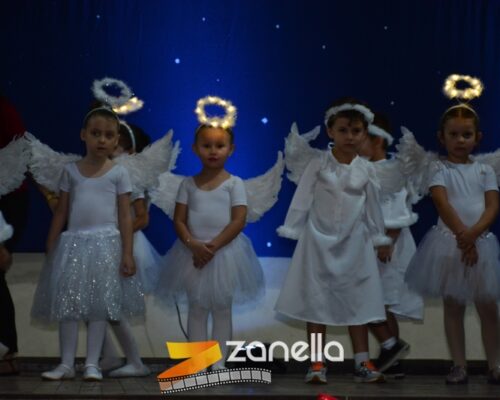 ZAN_9528