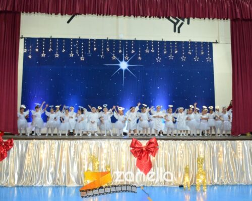 ZAN_9529