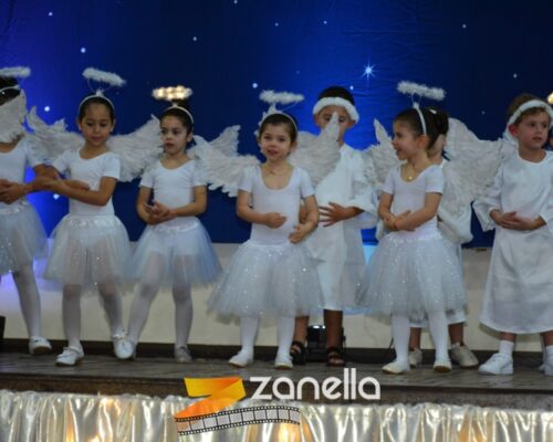 ZAN_9534