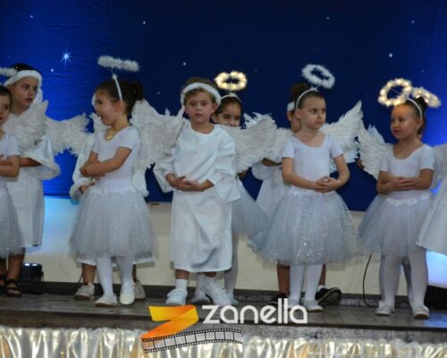 ZAN_9535