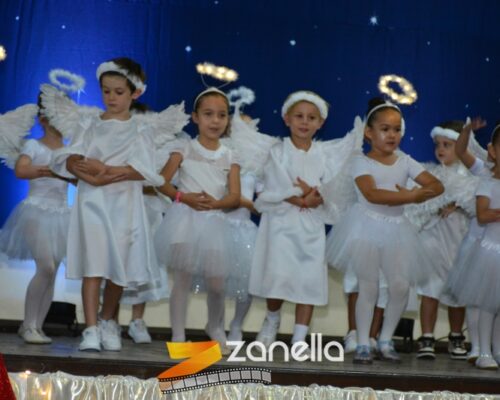 ZAN_9536