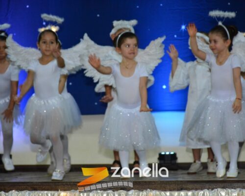 ZAN_9546