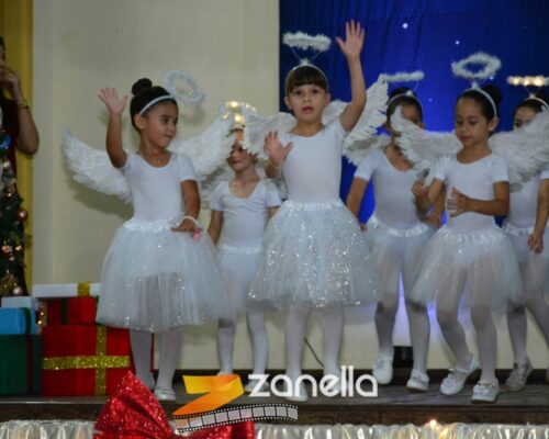 ZAN_9548