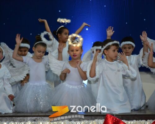 ZAN_9549