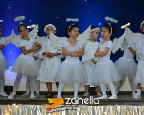 ZAN_9551