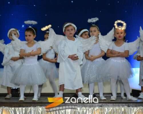 ZAN_9552