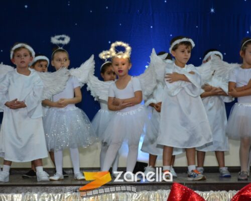 ZAN_9553